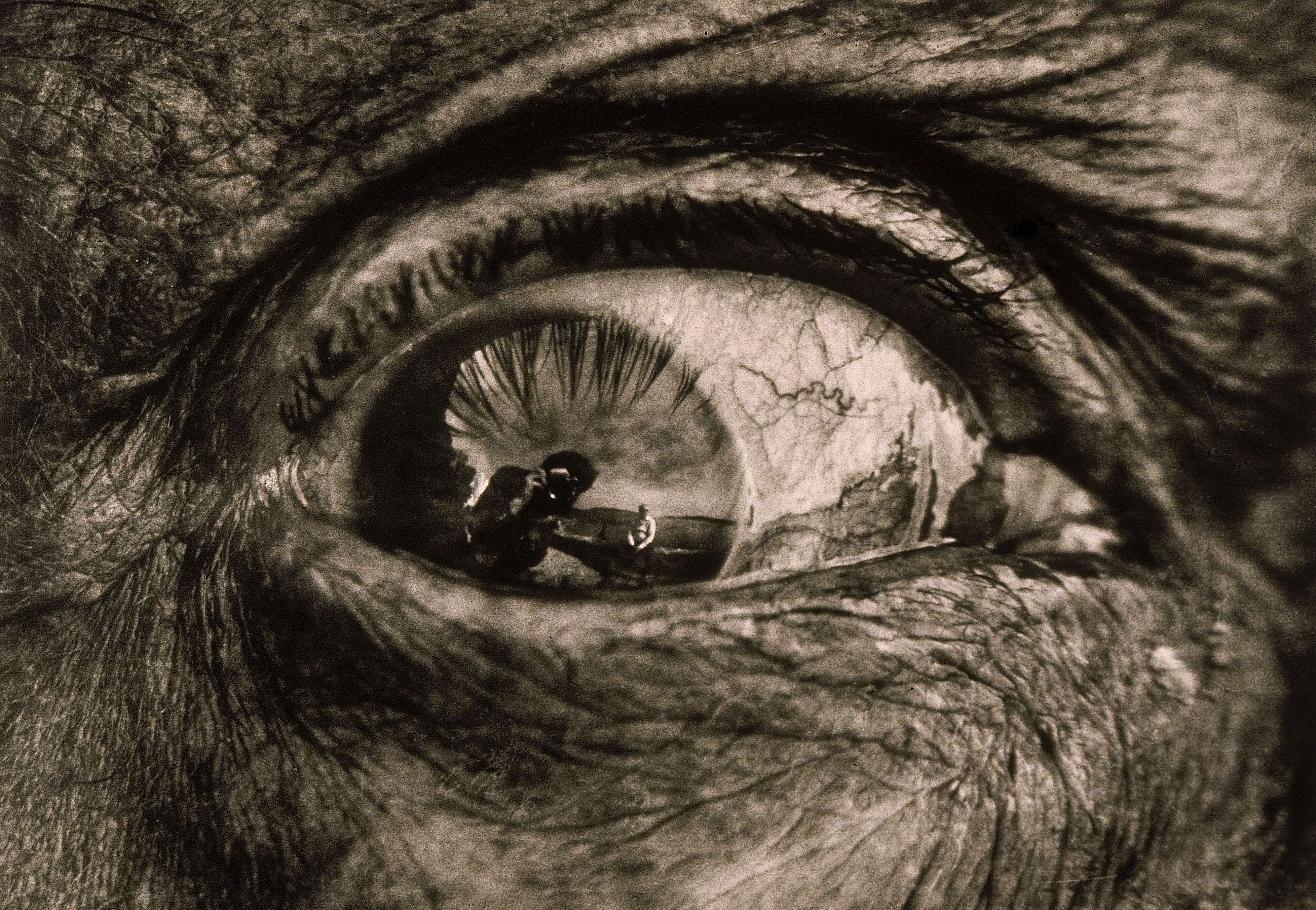 Salvador Dalí. Robert Whitaker. 1967-1972 - Robert Whitaker