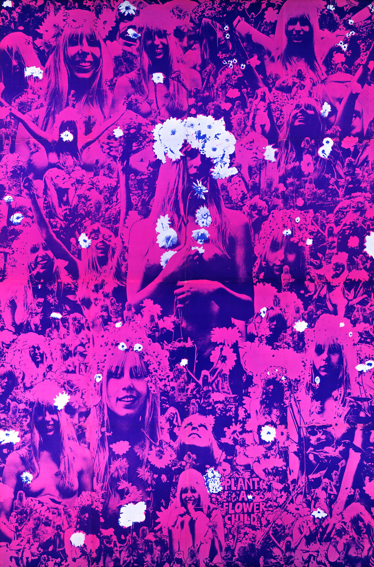 Plant a Flower Child - Robert Whitaker Photography